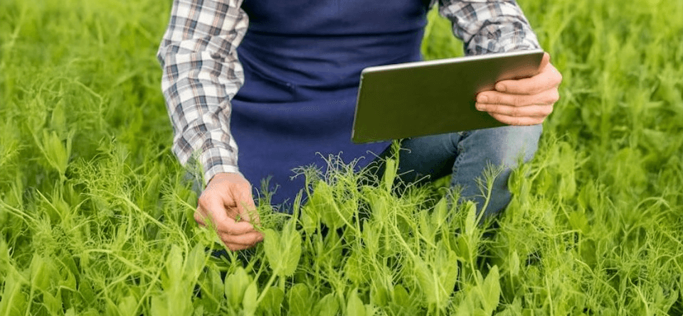 Maquinas-agricolas-inteligentes